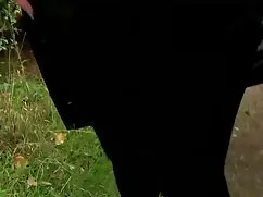 cô gái sex my den