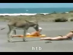 Traumlutscher phim sex mỹ đen cu khủng