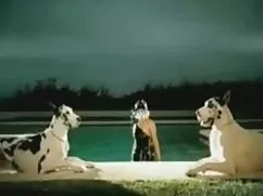 Chọc sex my den hang khung ghẹo 2